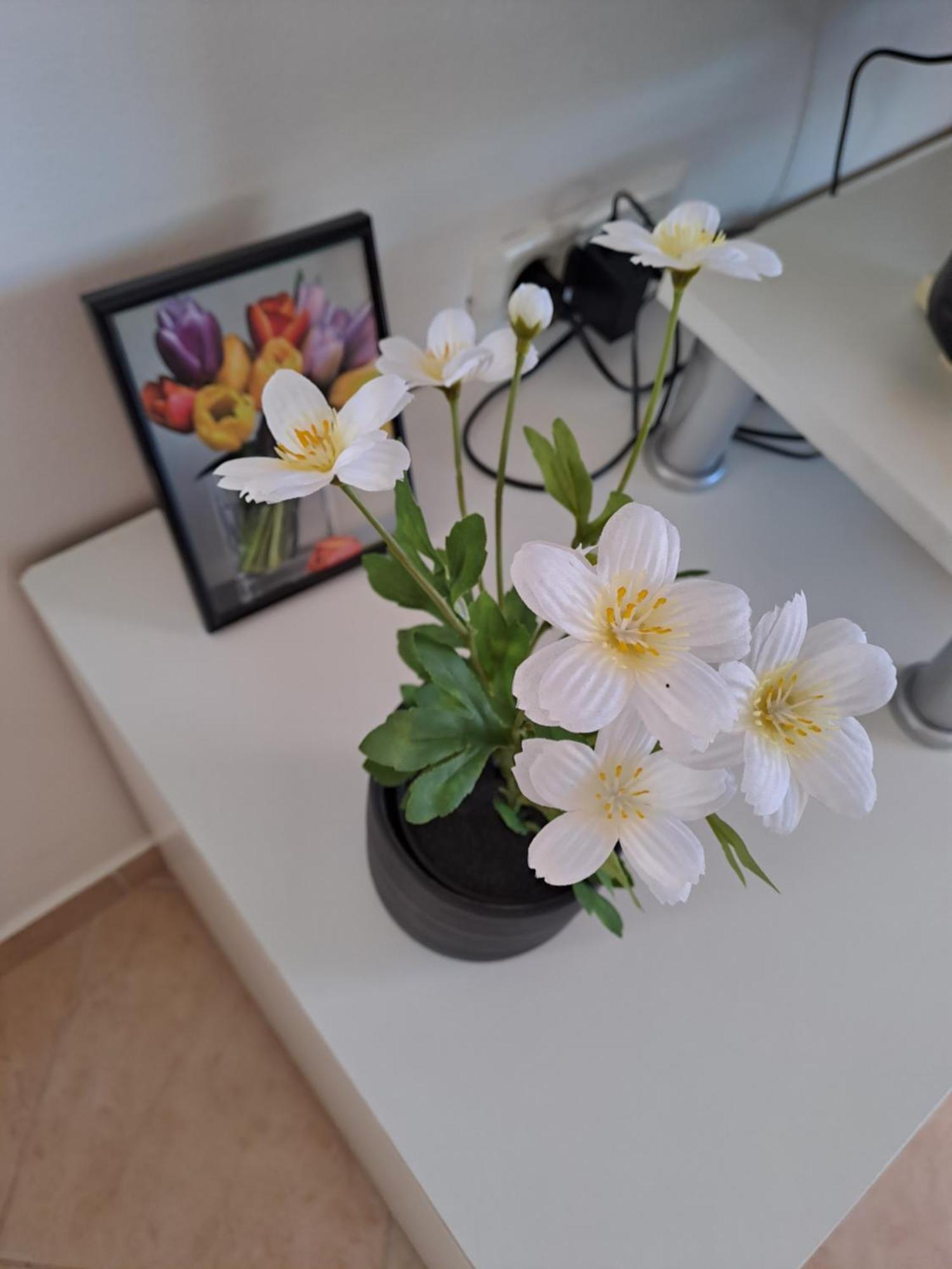 Apartman Valbandon Fazana Ngoại thất bức ảnh